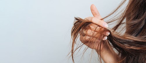 mineral mangel dedikation Skadet og tørt hår? Få et sundt hår i det kolde efterår | Apopro.dk