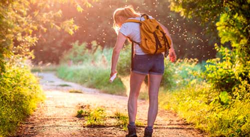 Guide til myggefri sommer - fra ApoPro.dk - dit online apotek i Danmark