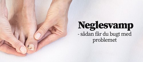 Neglesvamp – behandling af neglesvamp – ApoPro.dk guider dig